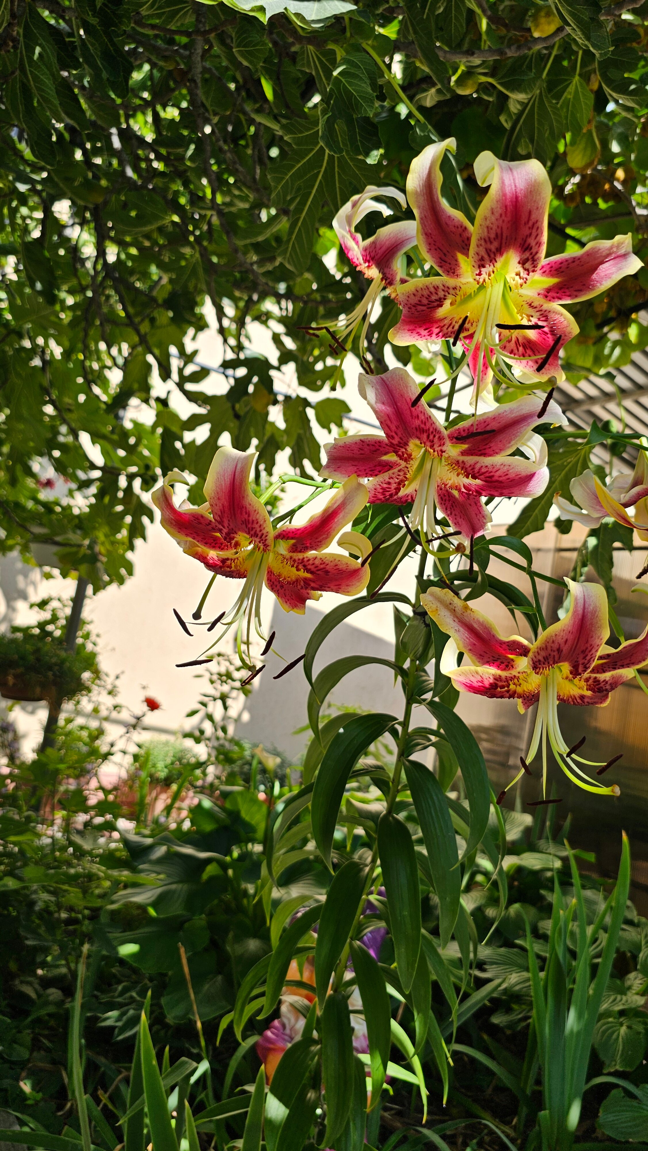 Фото У Татьяны