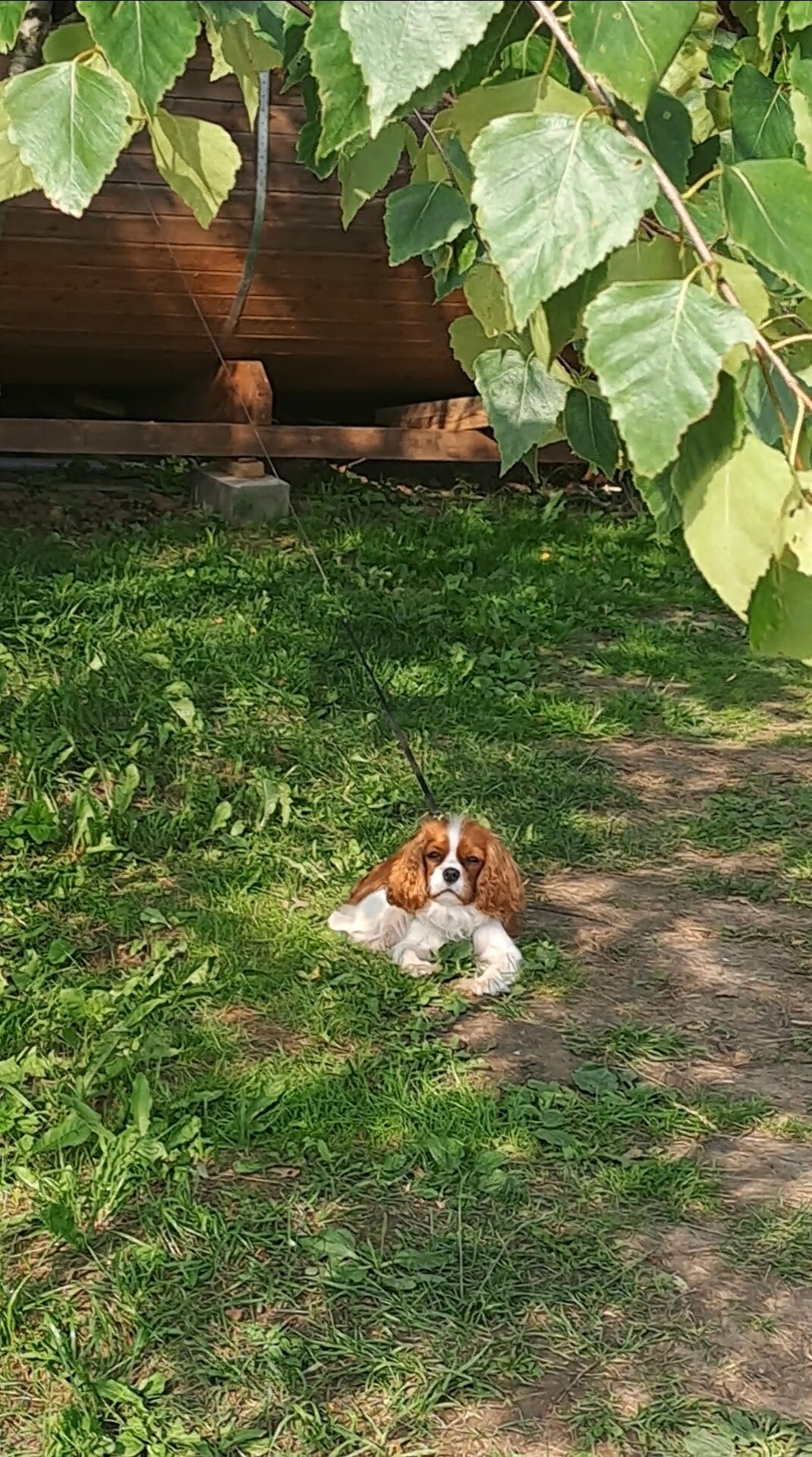 Фото Прованс