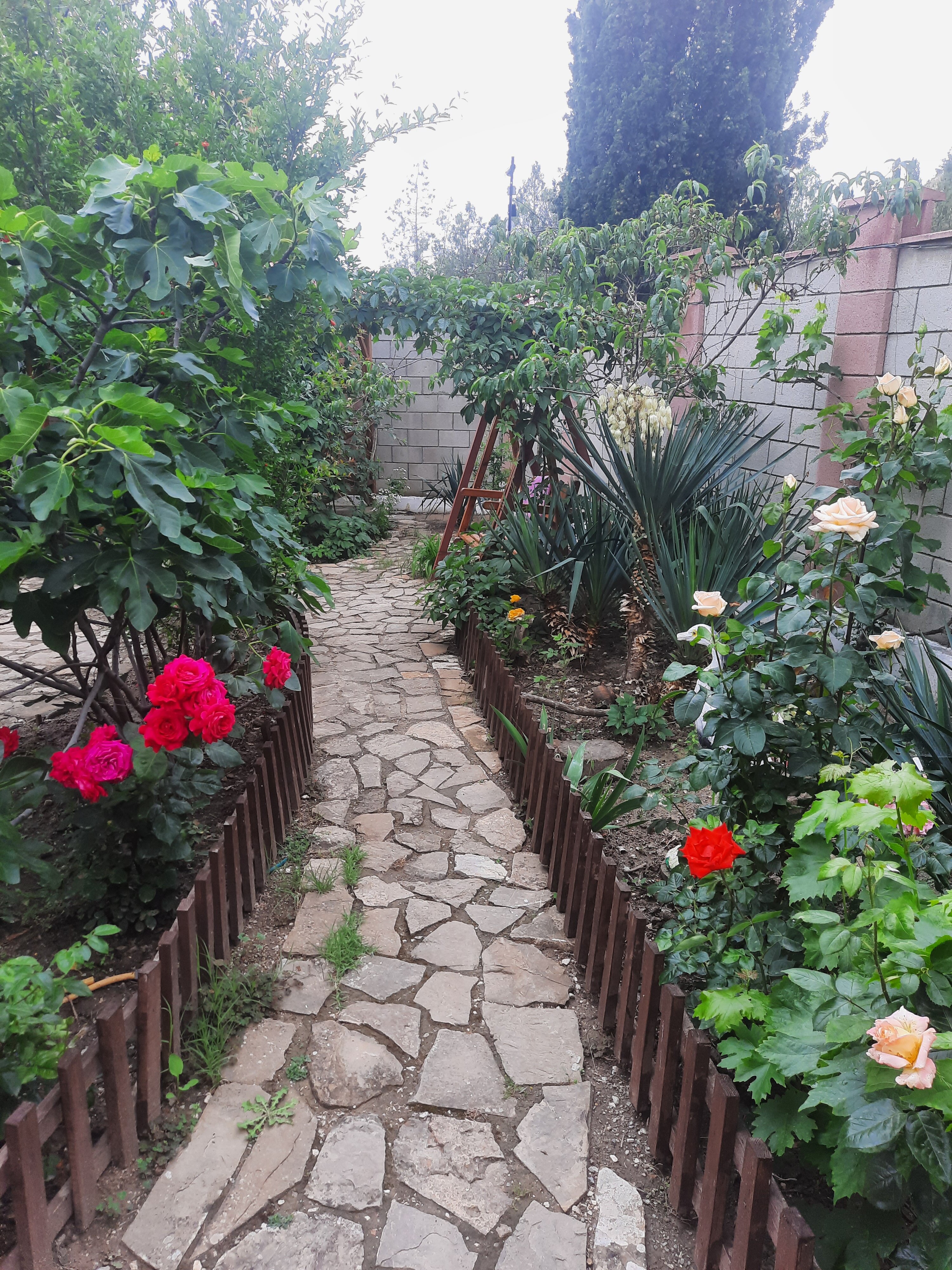 Фото Зелёный дворик