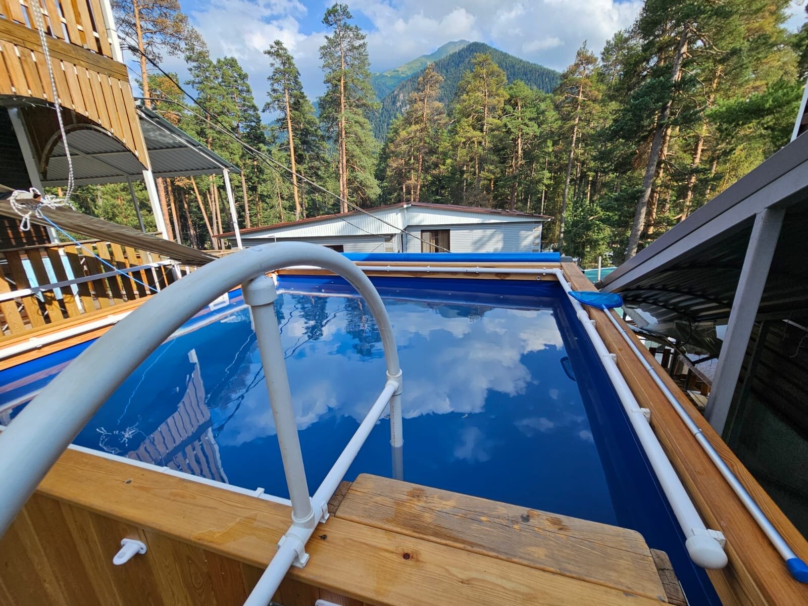 Фото Сосновый бор