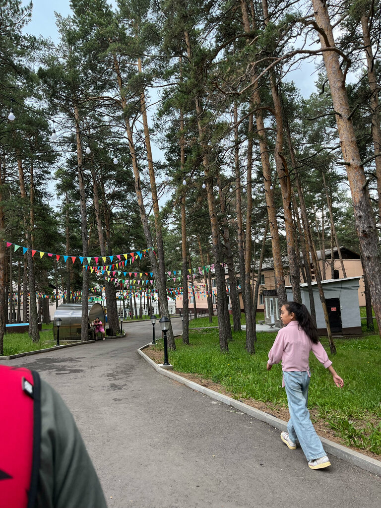 Детский лагерь отдыха Эдельвейс Боровое, Акмолинская область, фото