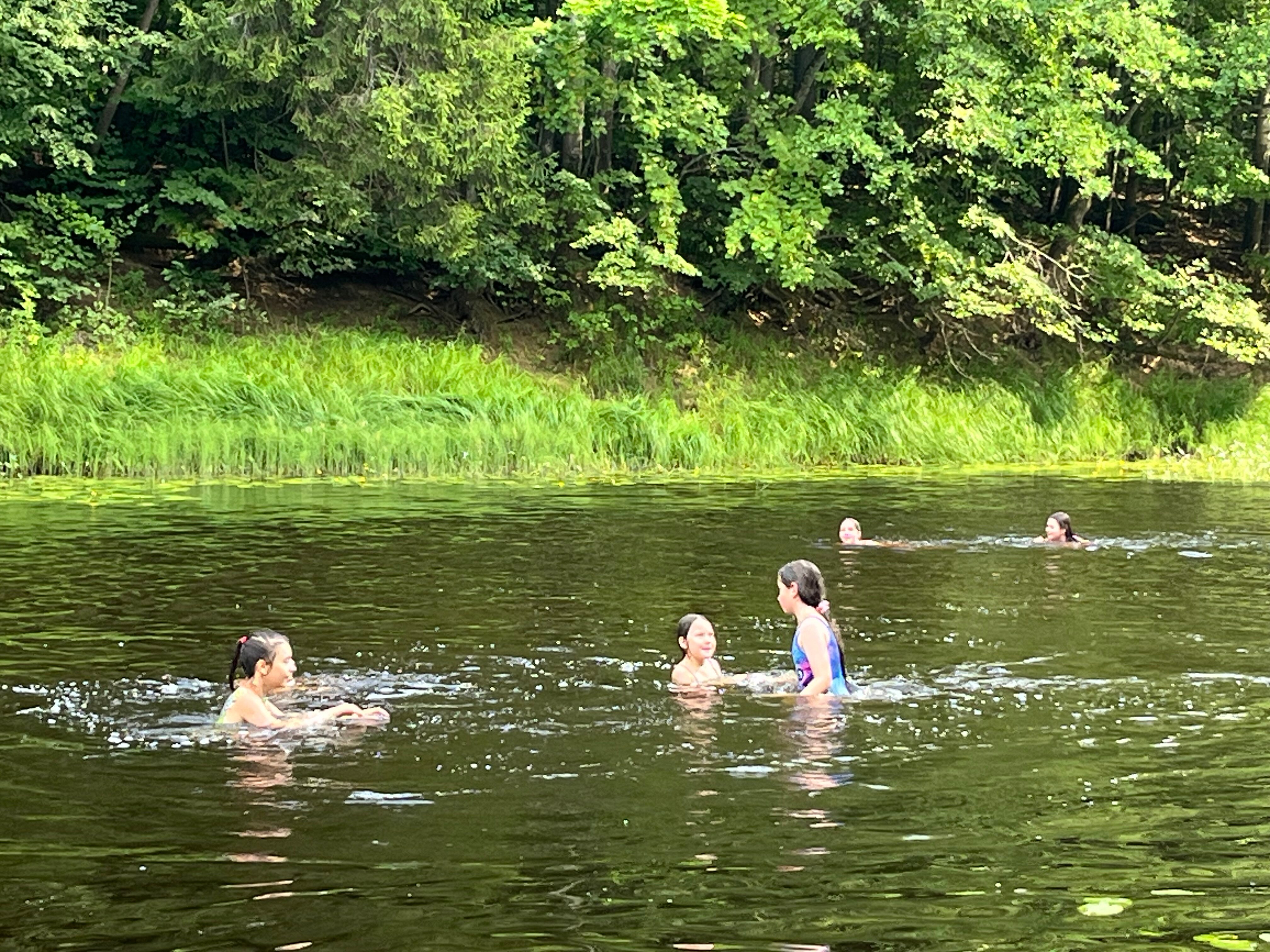 Фото Ягодная деревушка