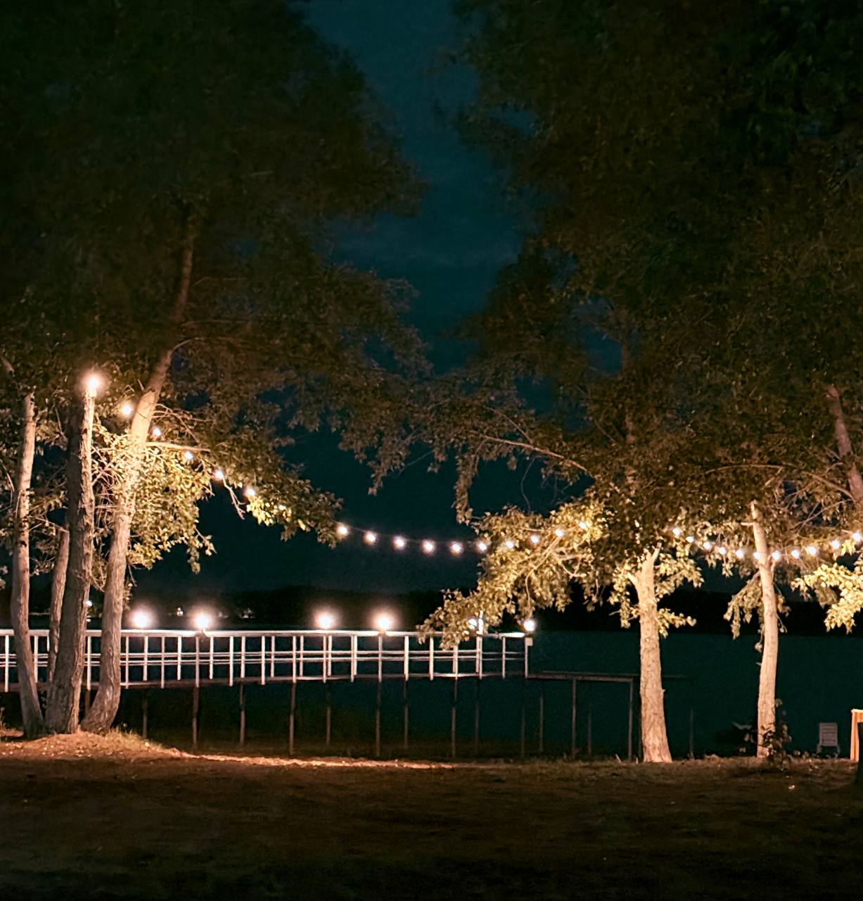 Фото Лаванда