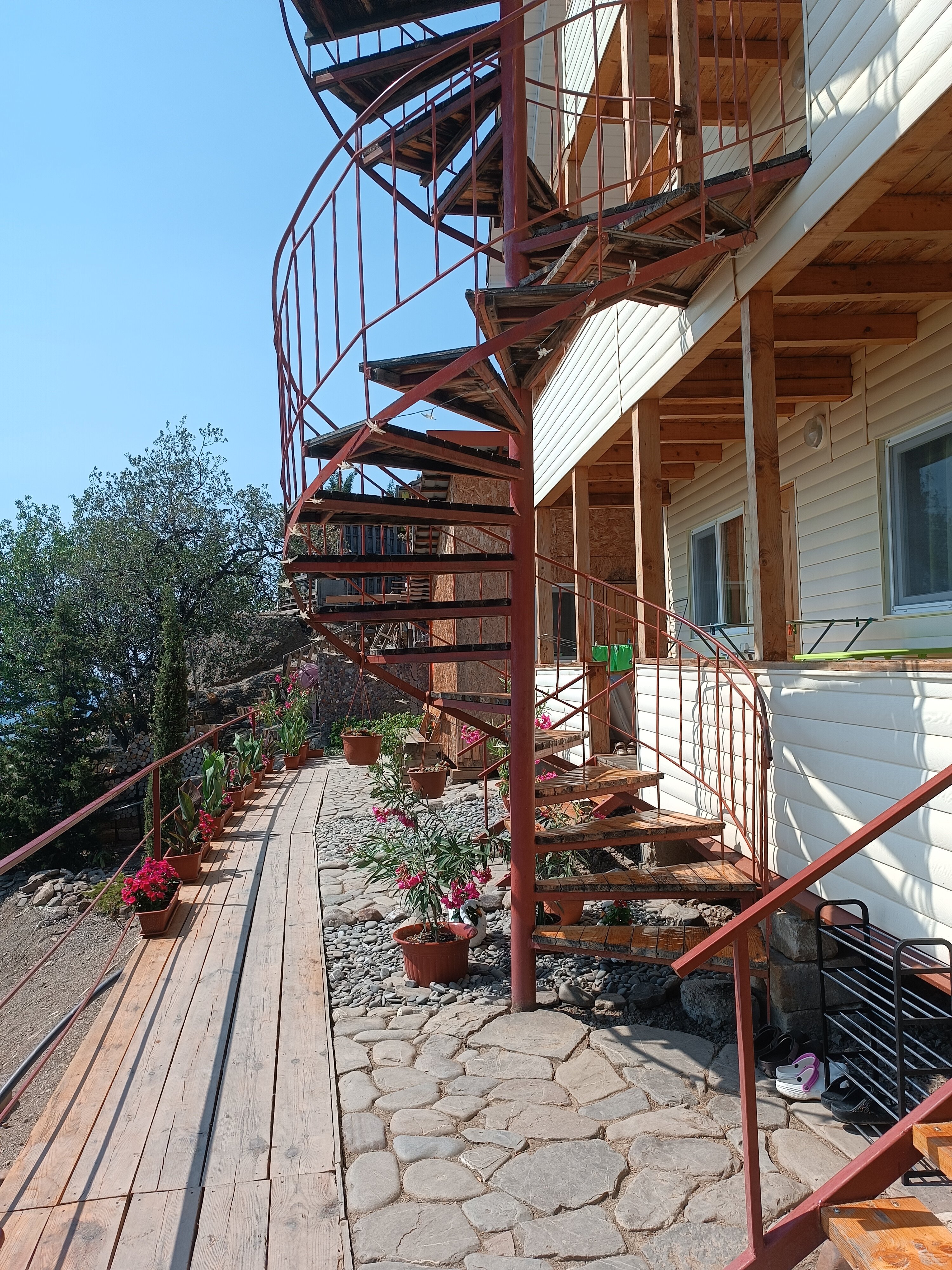 Фото Афалина