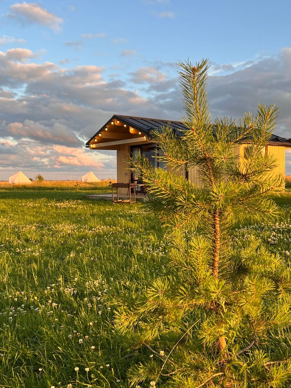 Фото Ильмера