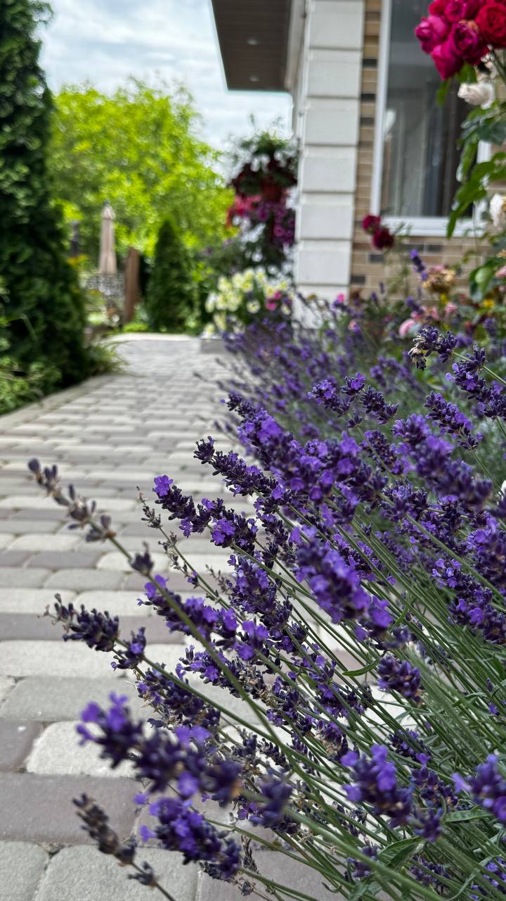 Фото Тихое Счастье