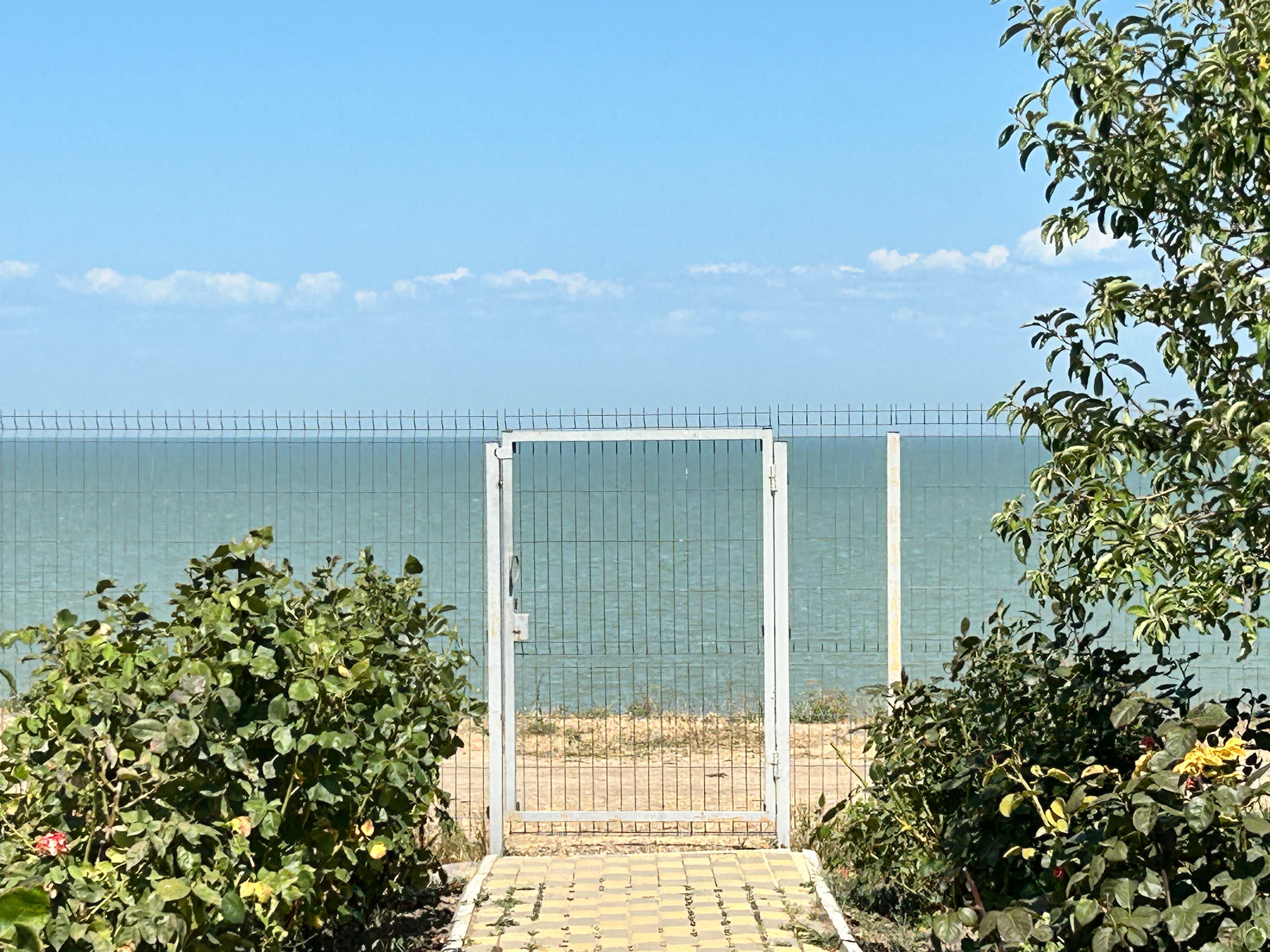 Фото Стефания на Николаевской