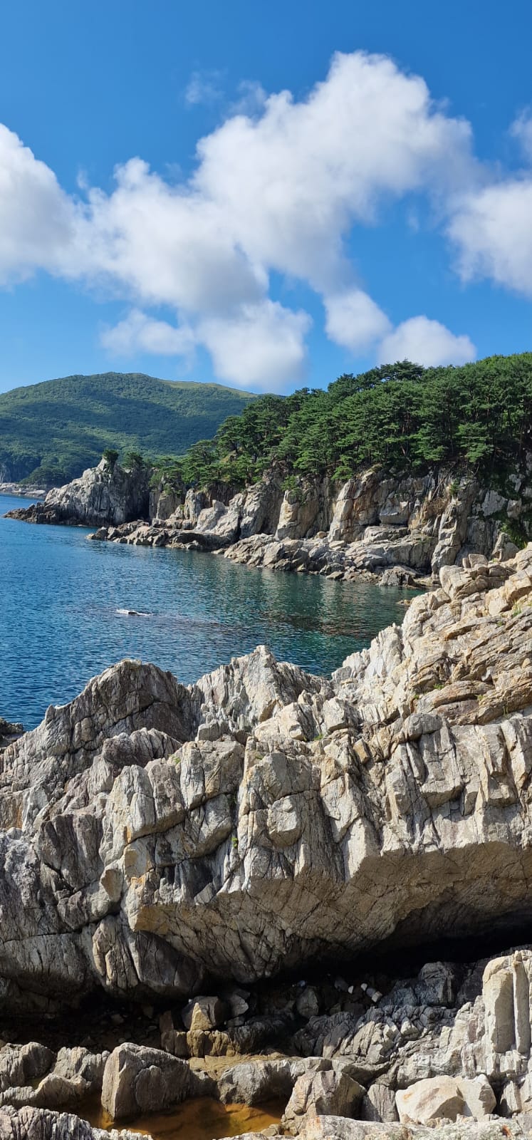 Фото СКАТ-Витязь