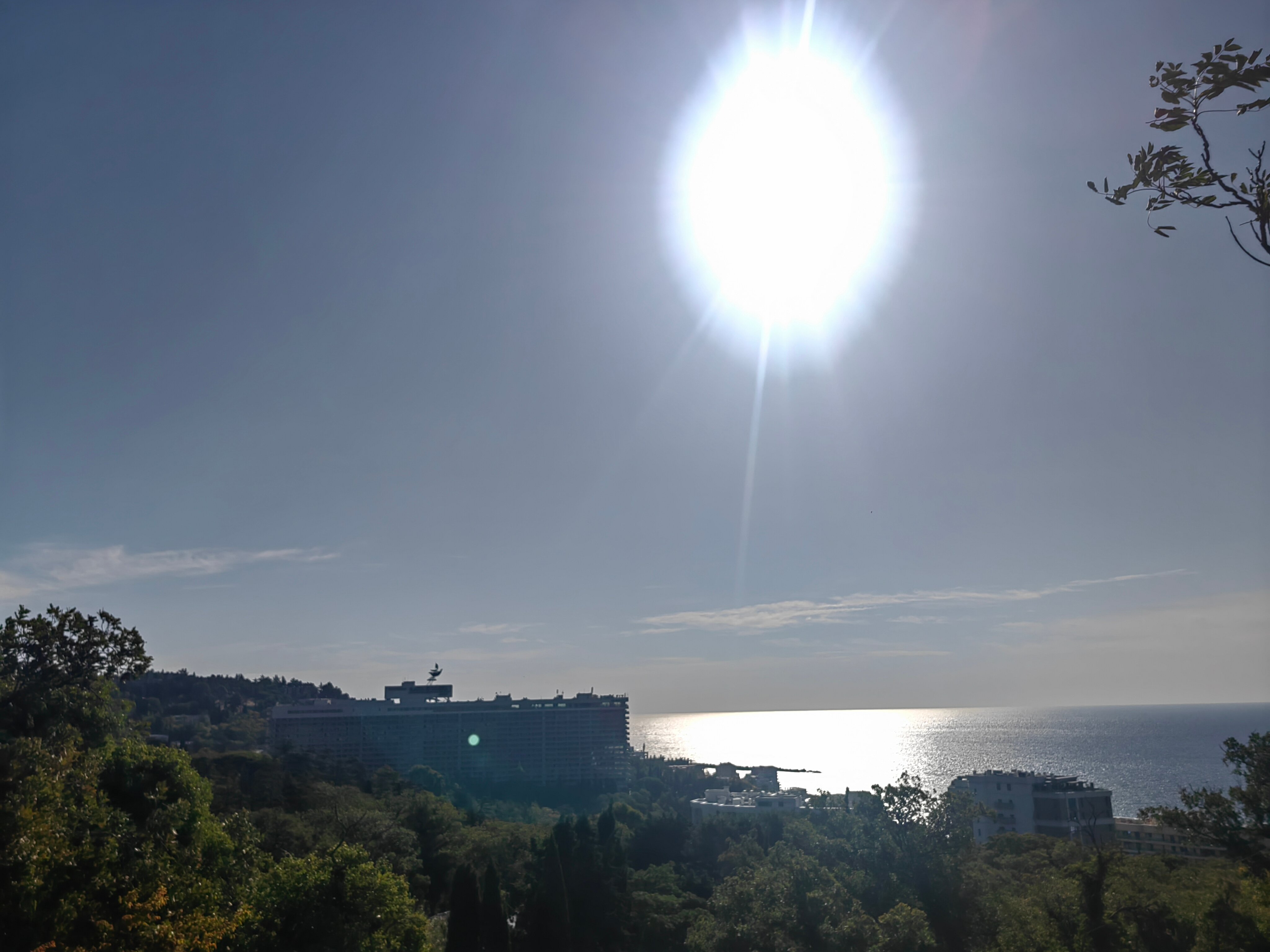 Фото Олива Парк