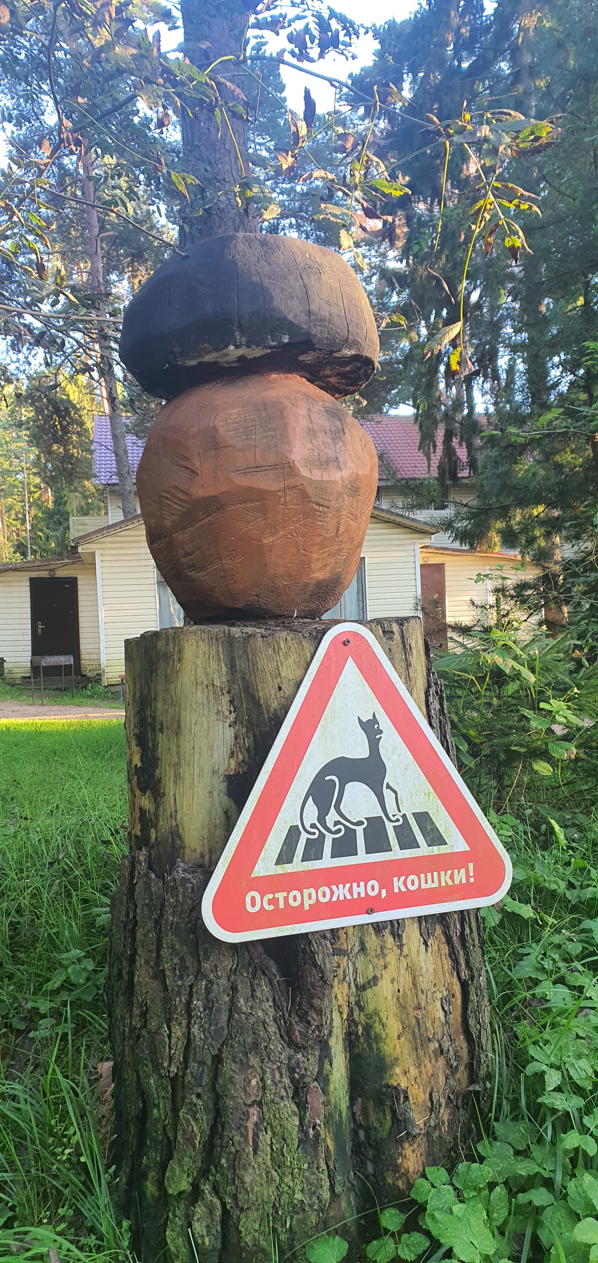 Фото Тридевятое Царство