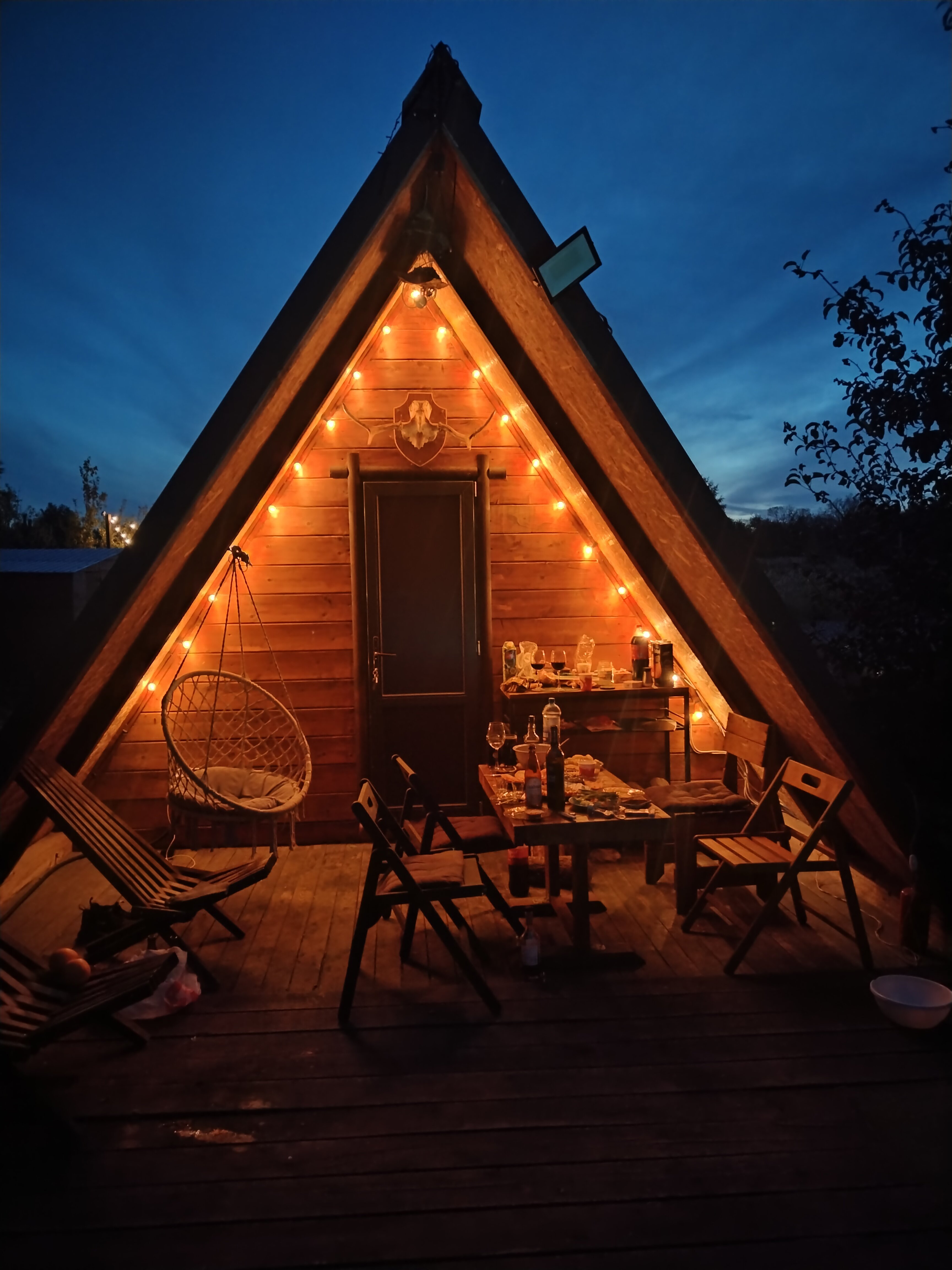 Фото Forest chan