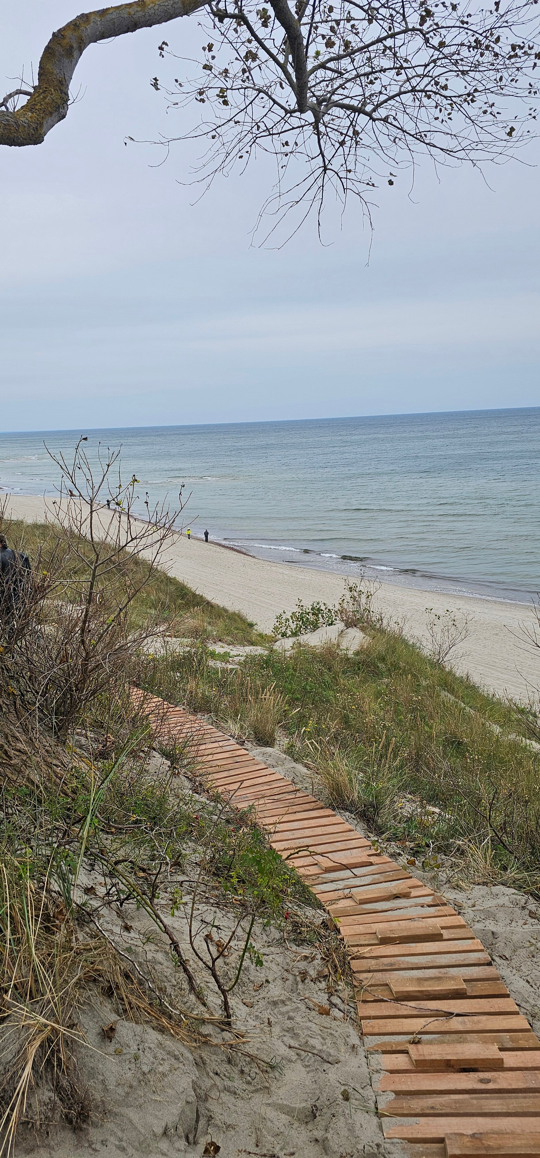 Фото Жилое помещение Дом на Балтийской косе