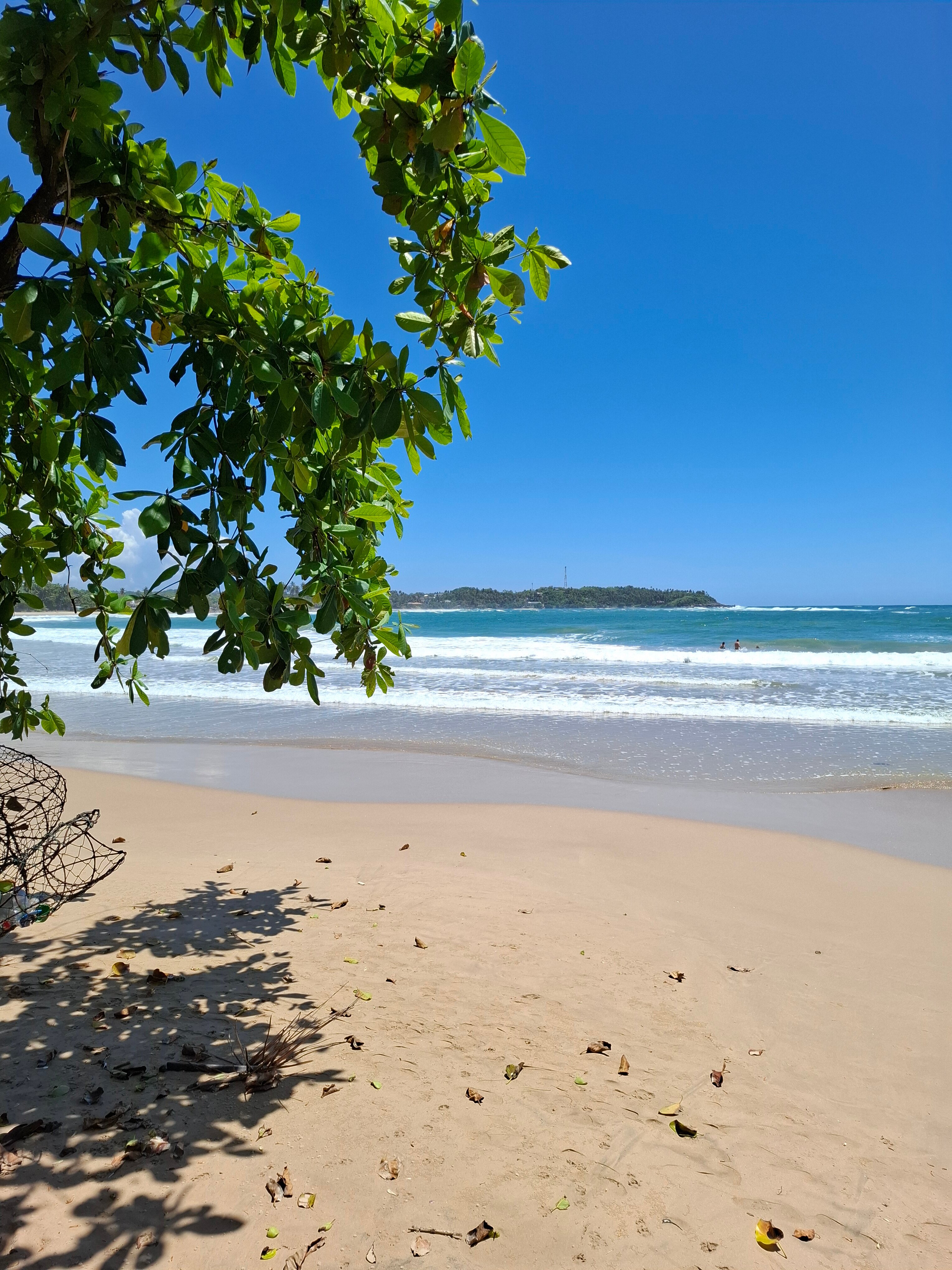 Фото Dickwella Resort and SPA