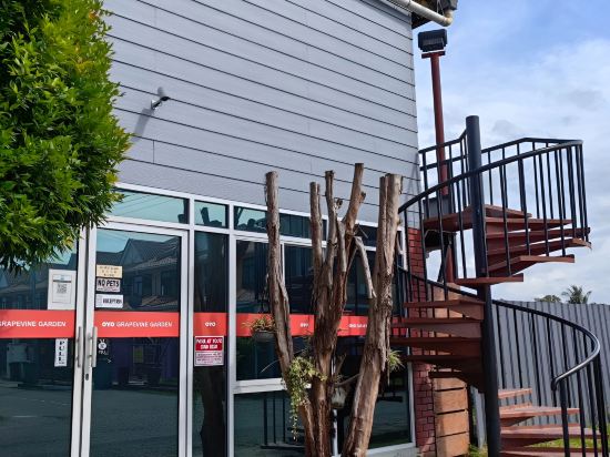 Фото Grapevine Garden