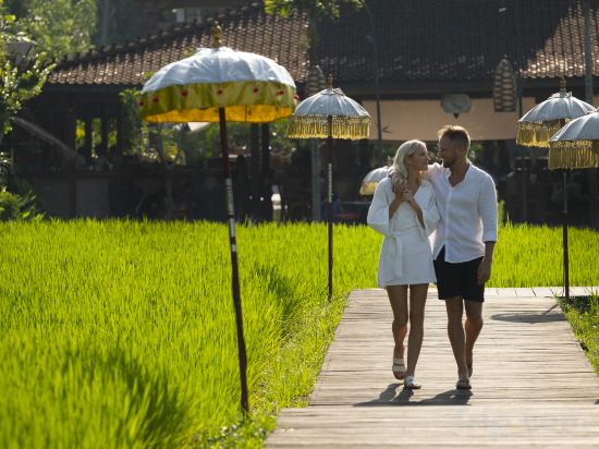 Фото Alaya Resort Ubud