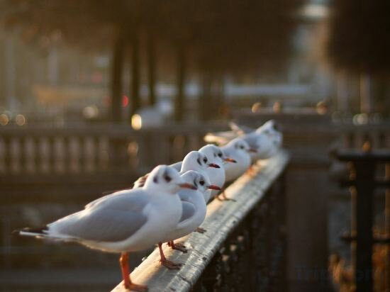 Фото Hotel Stoller Zurich