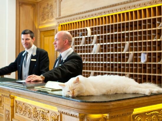 Фото Le Bristol Paris - an Oetker Collection Hotel