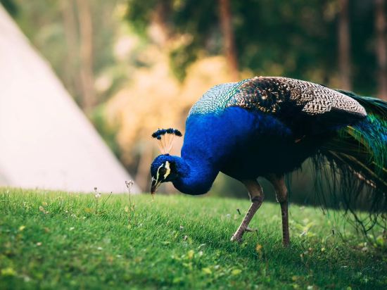 Фото Dongguan Mcb Lake Hotel