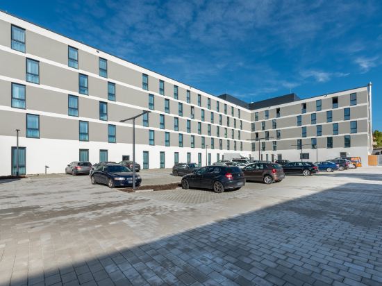 Фото The niu Timber