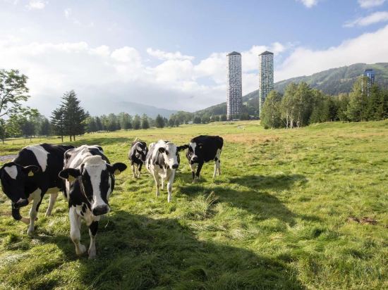 Фото Hoshino Resorts Tomamu The Tower