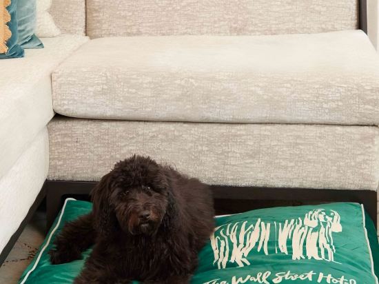 Фото The Wall Street Hotel