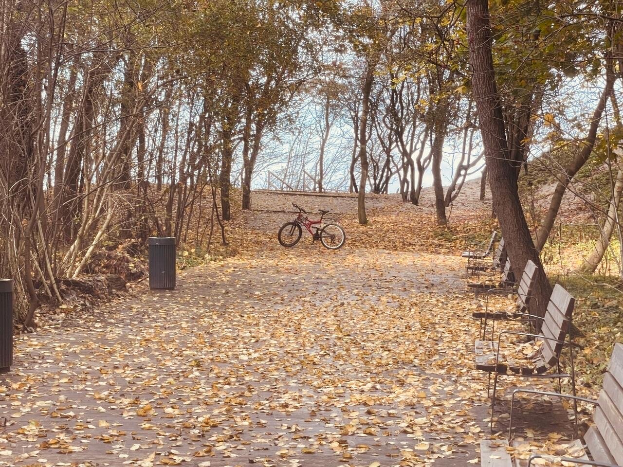 Фото Воскресенье