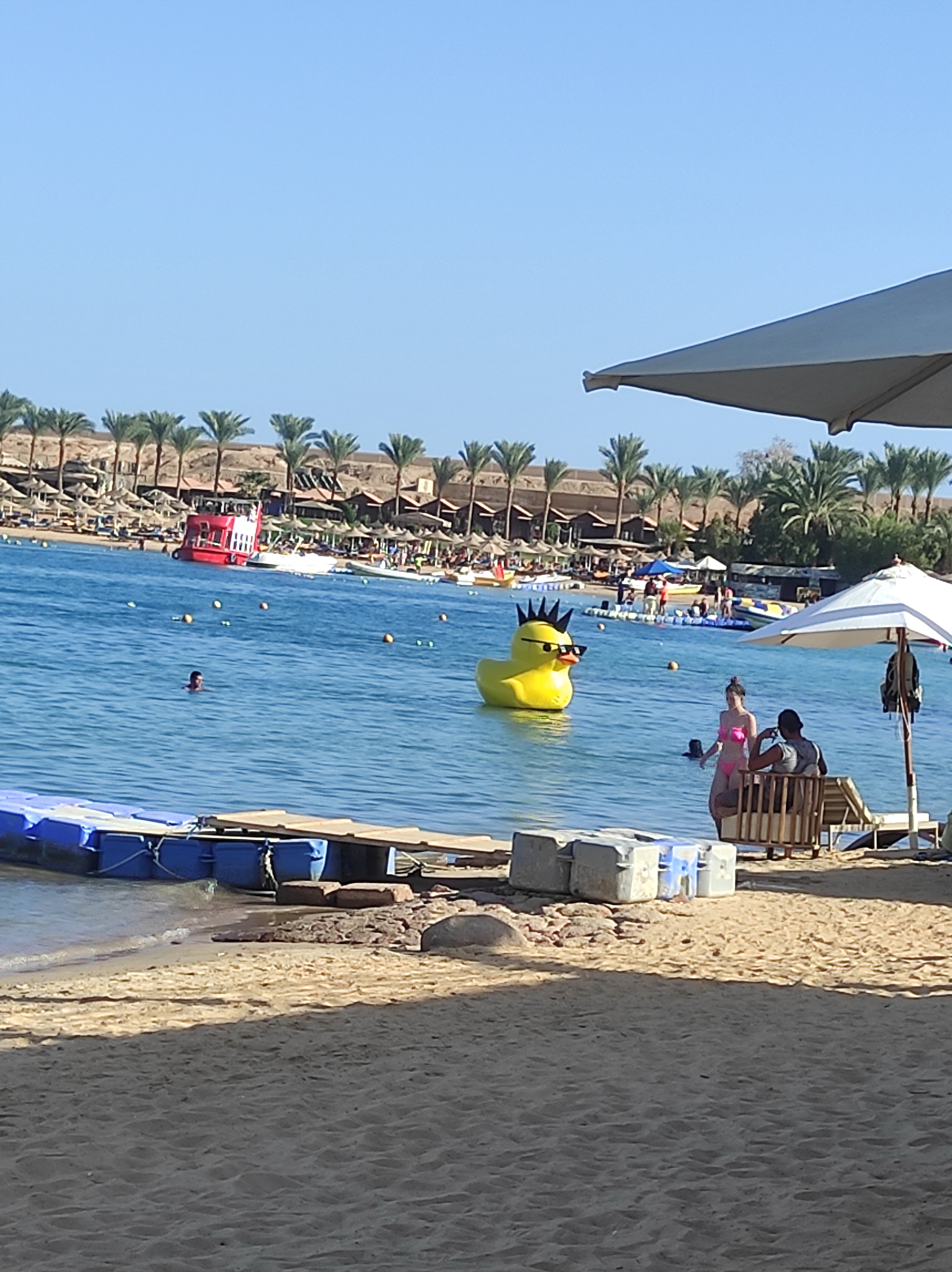 Фото Falcon Hills Hotel