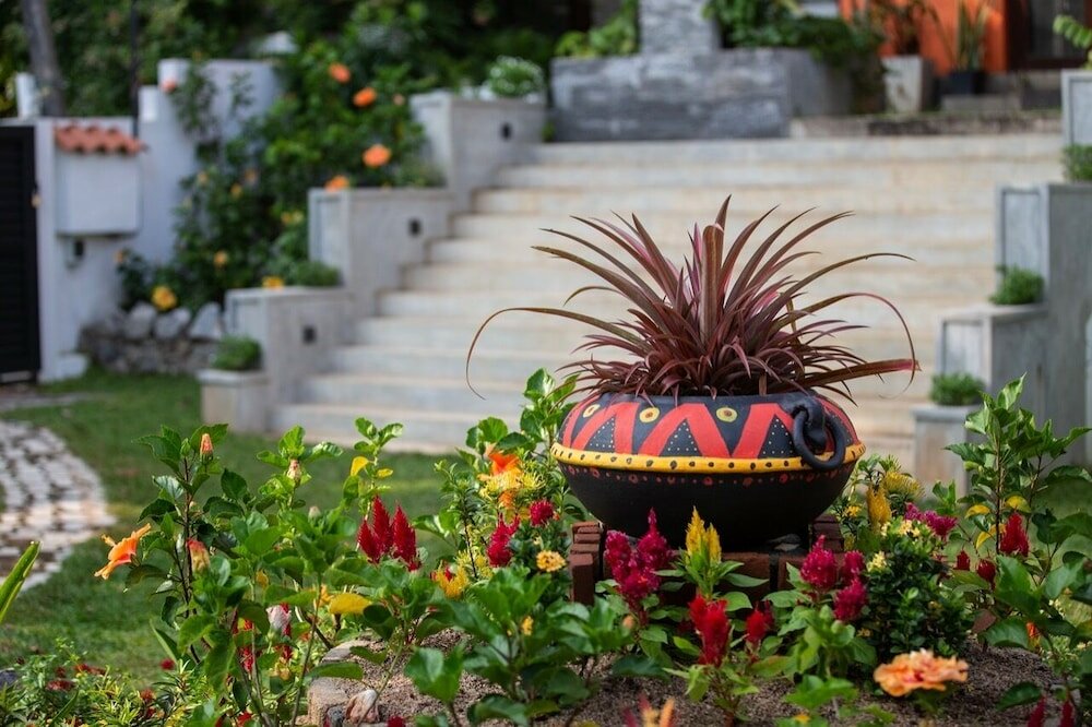 Фото Breeze of Paradise