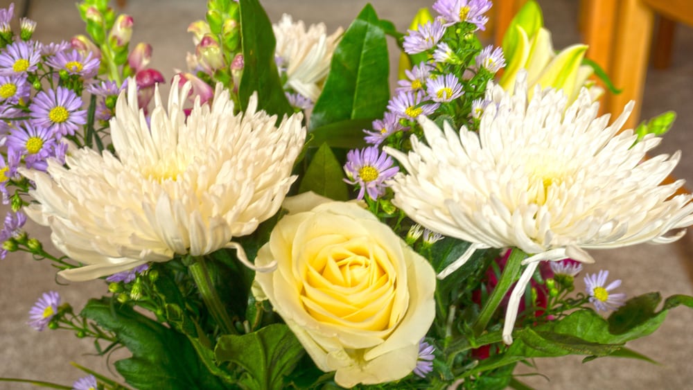 Фото Arrandale Guest House