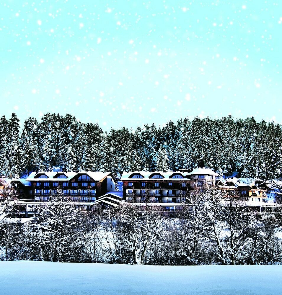 Фото Hot Springs Medical and SPA Hotel