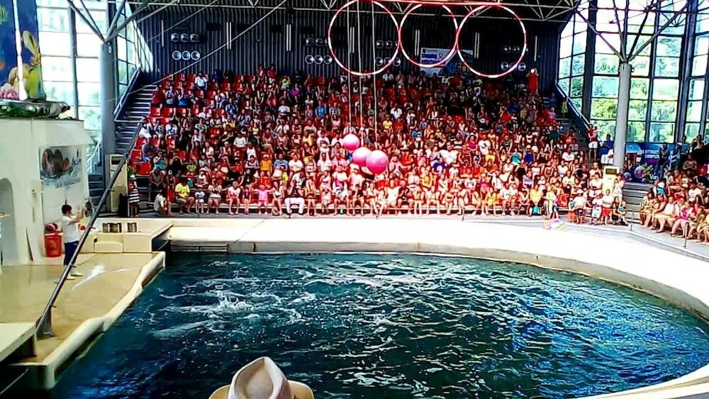 Фото Cherry Tree Cottage