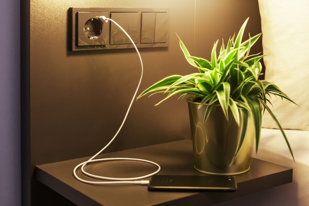 Фото The niu Mood