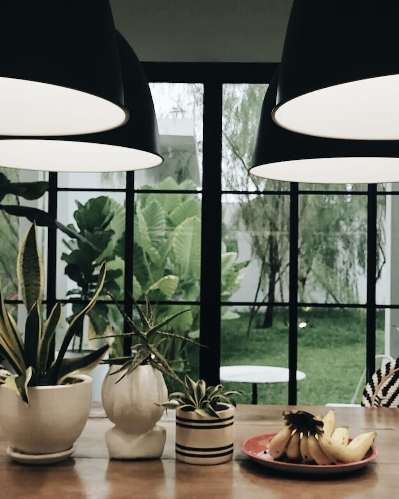 Фото Blu Monkey Hub & Hotel Ranong