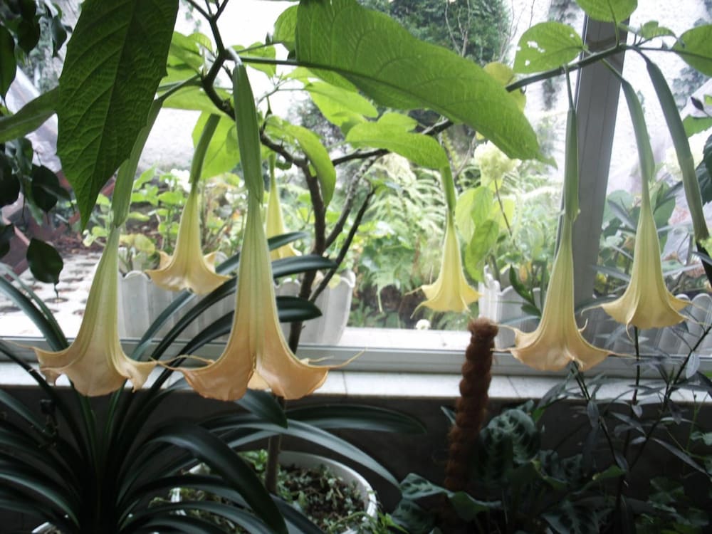 Фото Зодиак