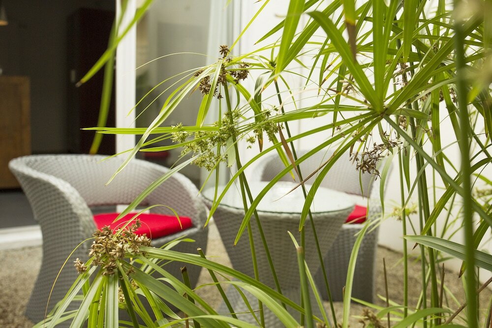 Фото Esprit Libre Restaurant and Guest House