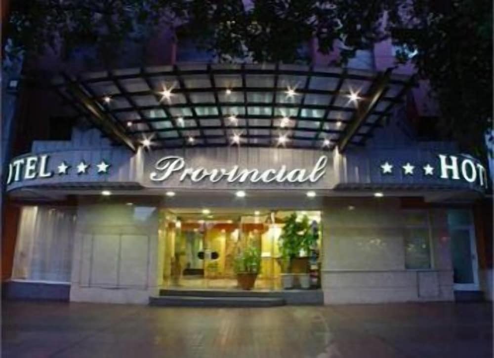 Фото Hotel Provincial