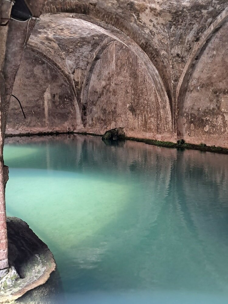 Фото Hotel Minerva