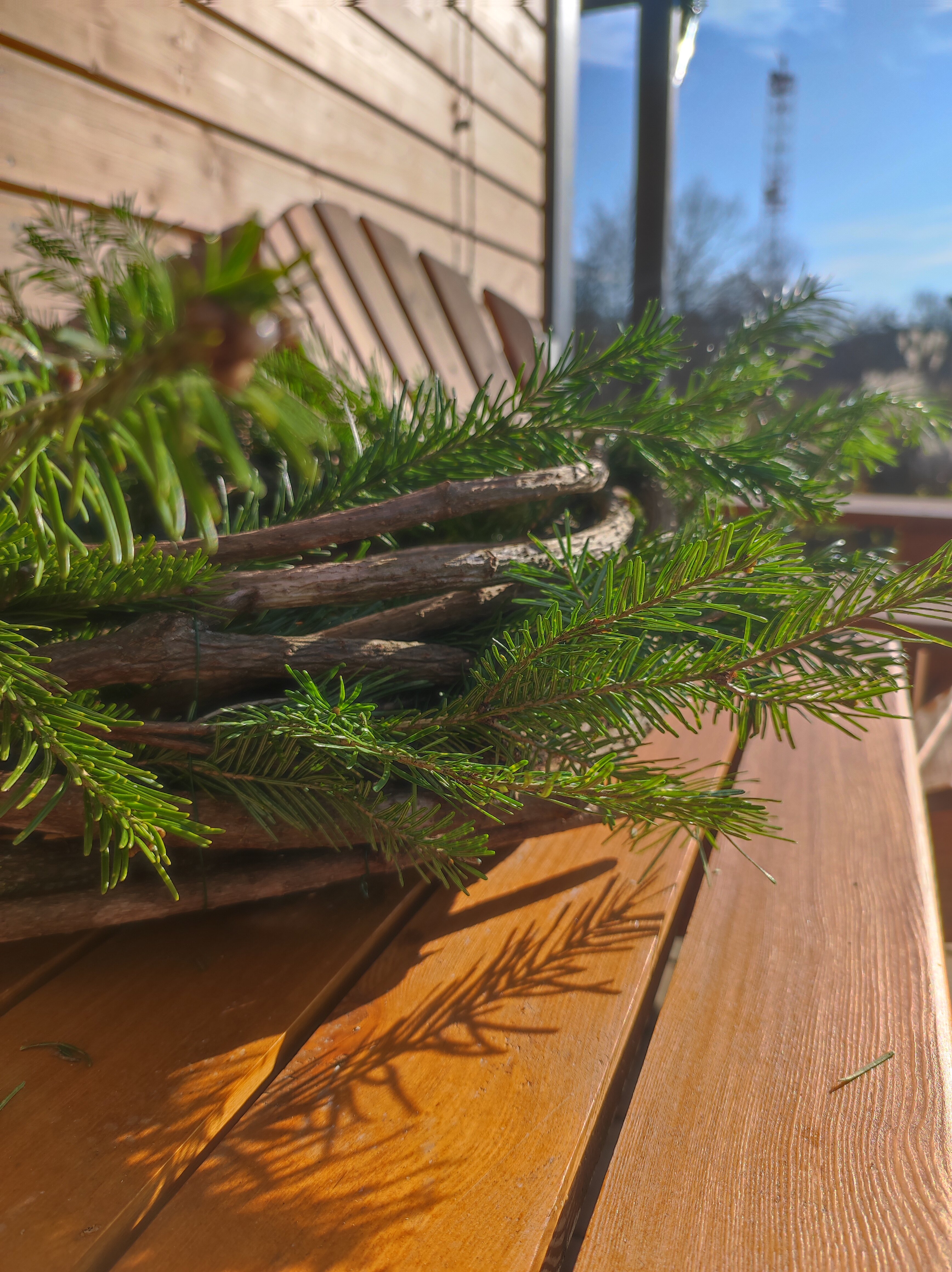 Фото Гостевой дом Лисы