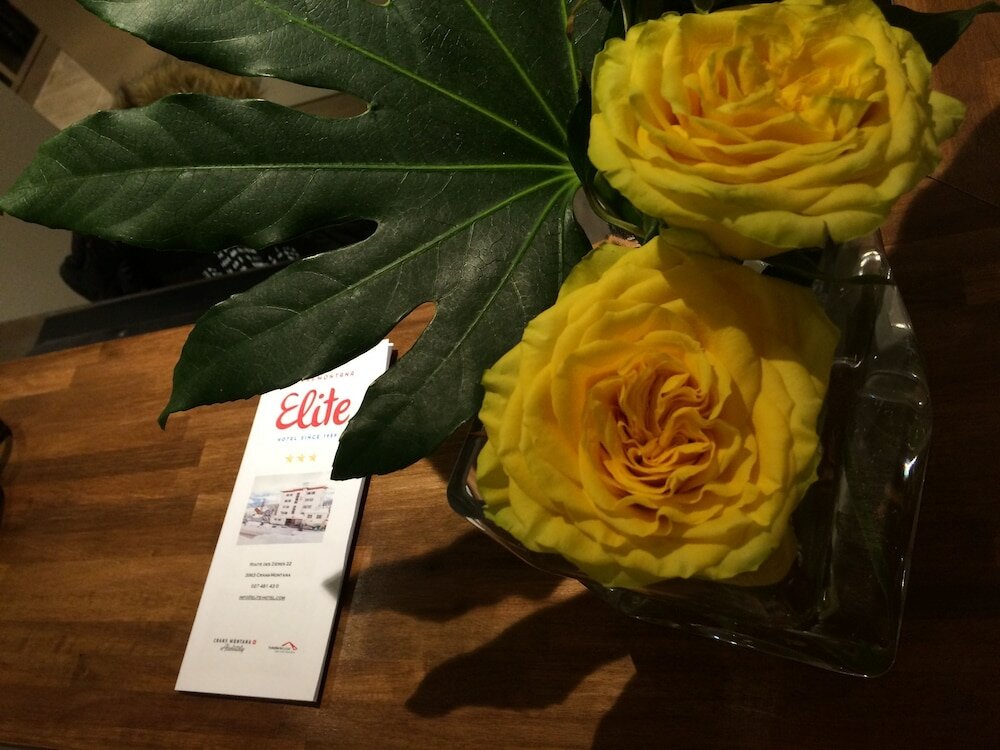 Фото Hotel Elite