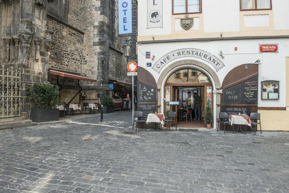 Фото Hotel Cerny Slon