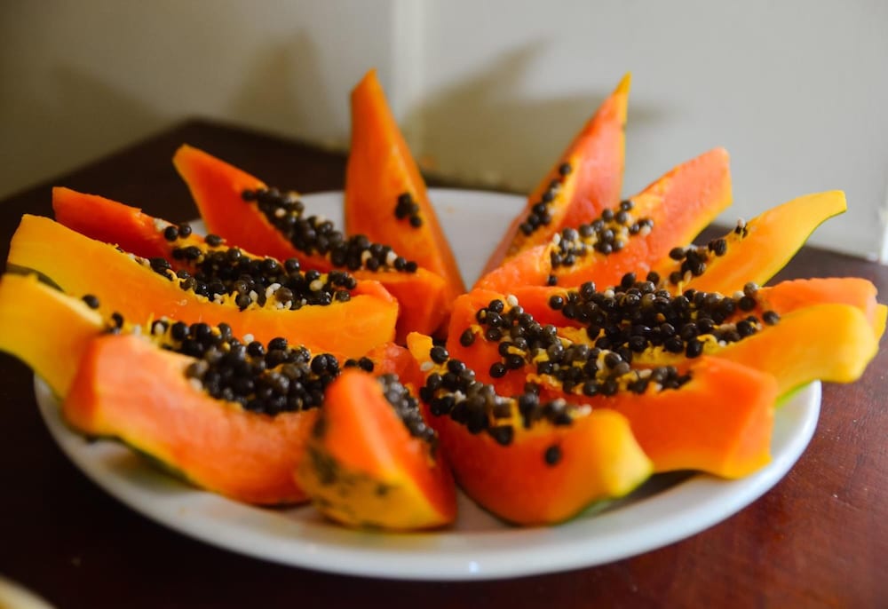 Фото Pousada Grauçá