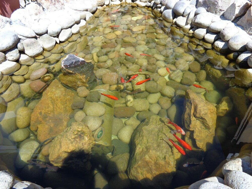 Фото Niki Studios Sea-Front