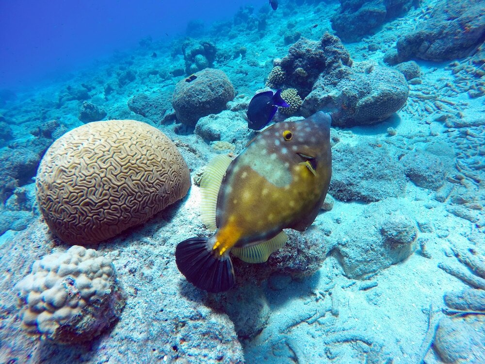 Фото Rancho El Sobrino