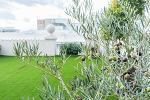 Гостиница 200 Rooms & Terrace