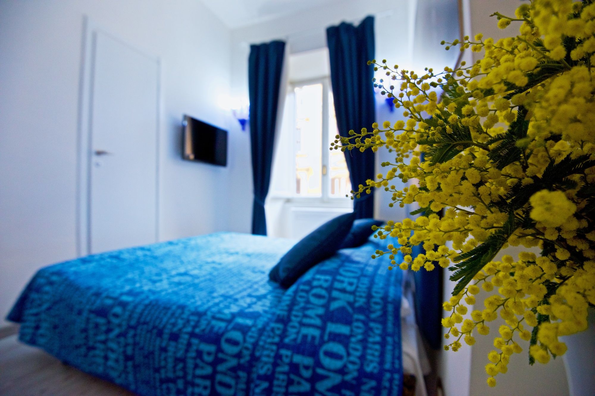 Фото White Vatican