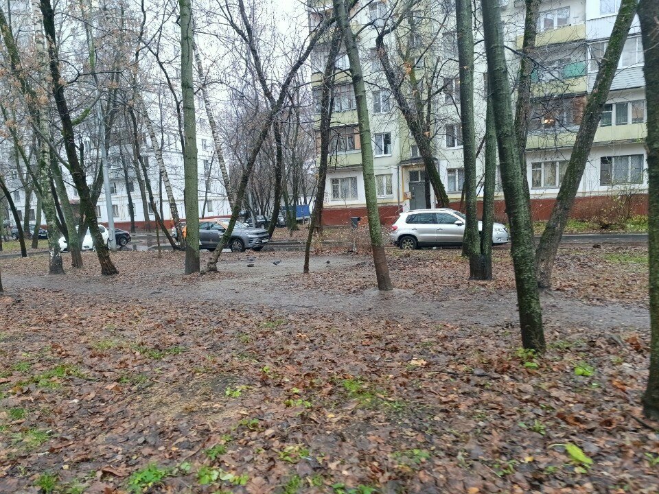 Playground Детские игровые залы и площадки, Moscow, photo