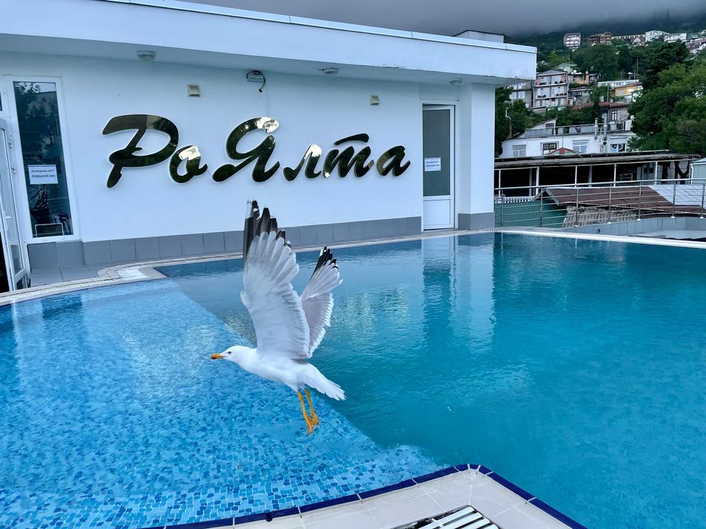 Фото РоЯлта