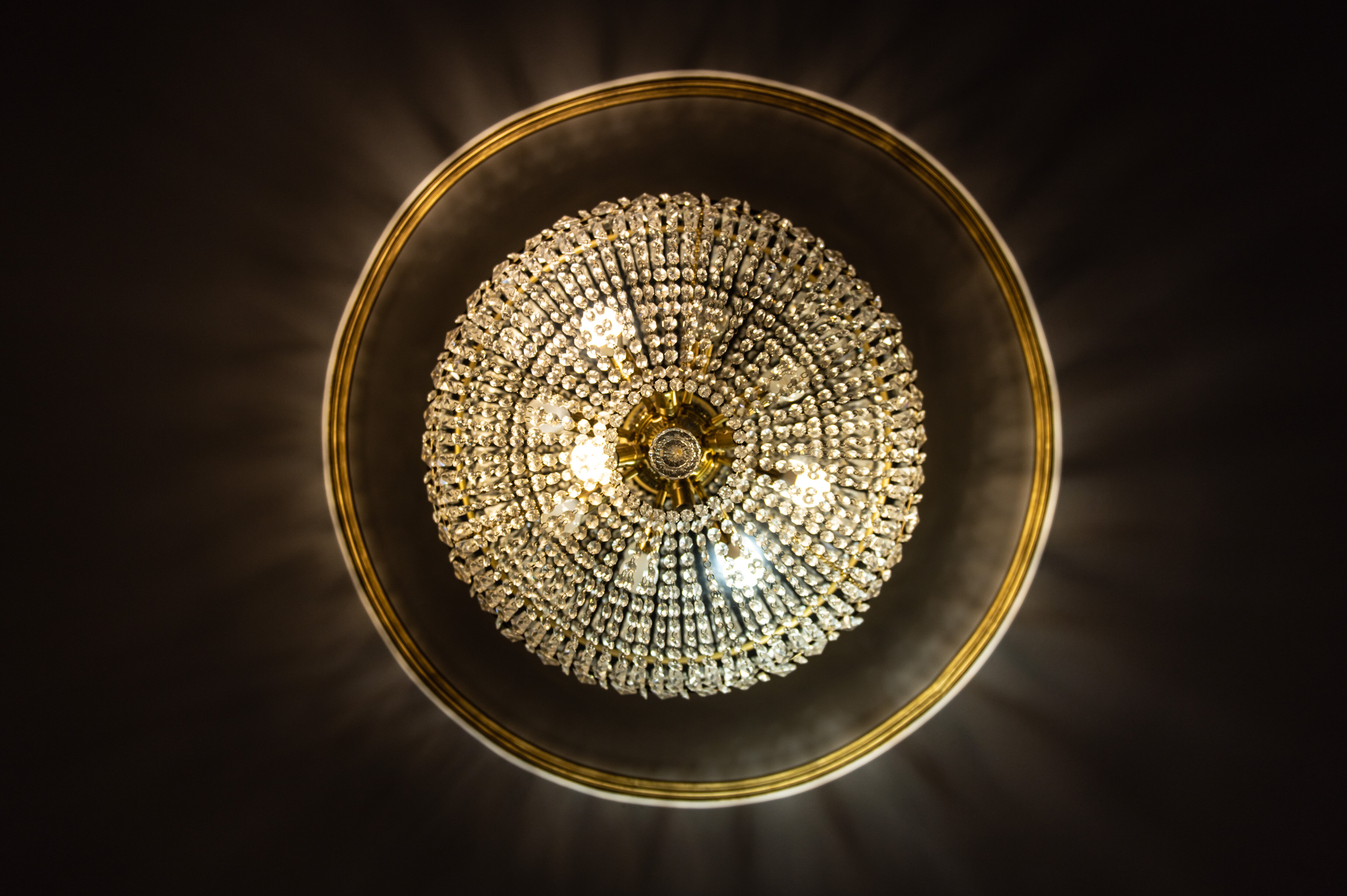 Фото Клавдия