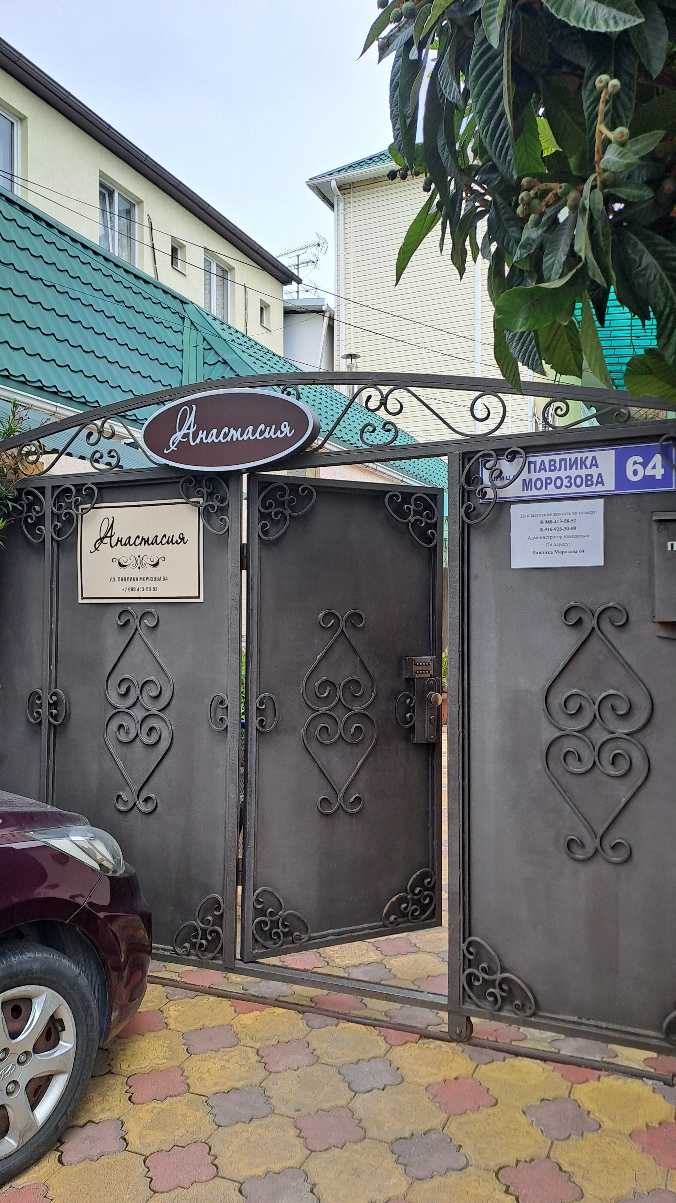 Фото Анастасия