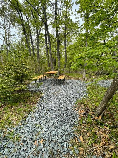 Фото Русский Ренессанс